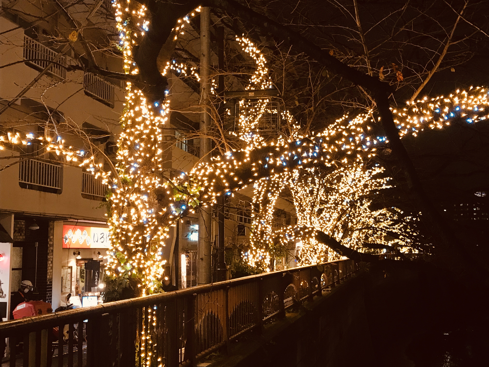 【クリスマスイルミラン】青山・代官山・中目黒恵比寿の写真5