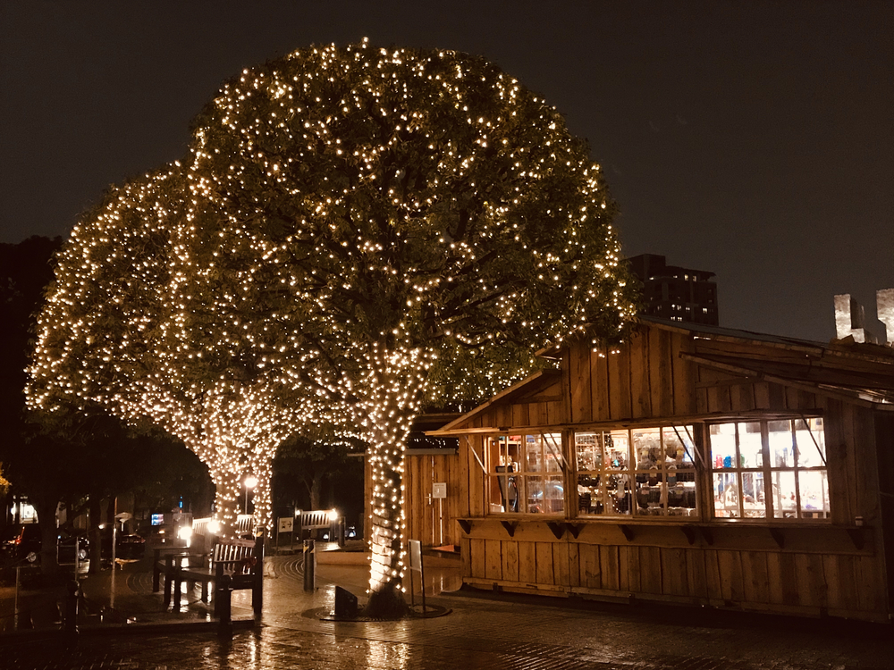 【クリスマスイルミラン】青山・代官山・中目黒恵比寿の写真8