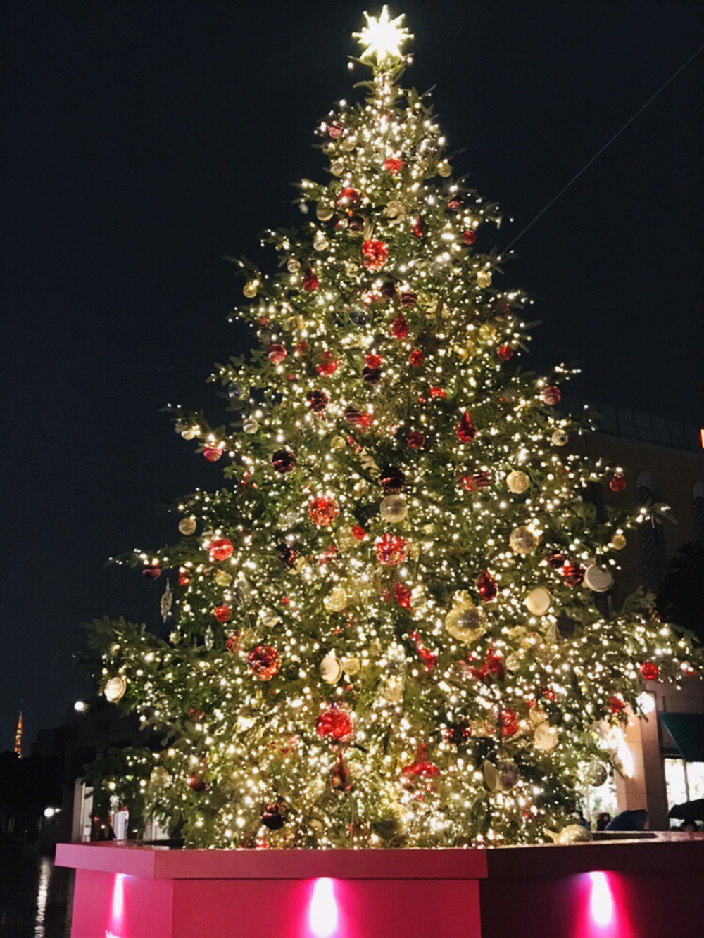 【クリスマスイルミラン】青山・代官山・中目黒恵比寿の写真9