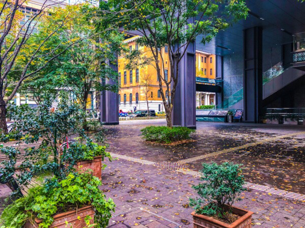 平日昼間の丸の内仲通りの写真10