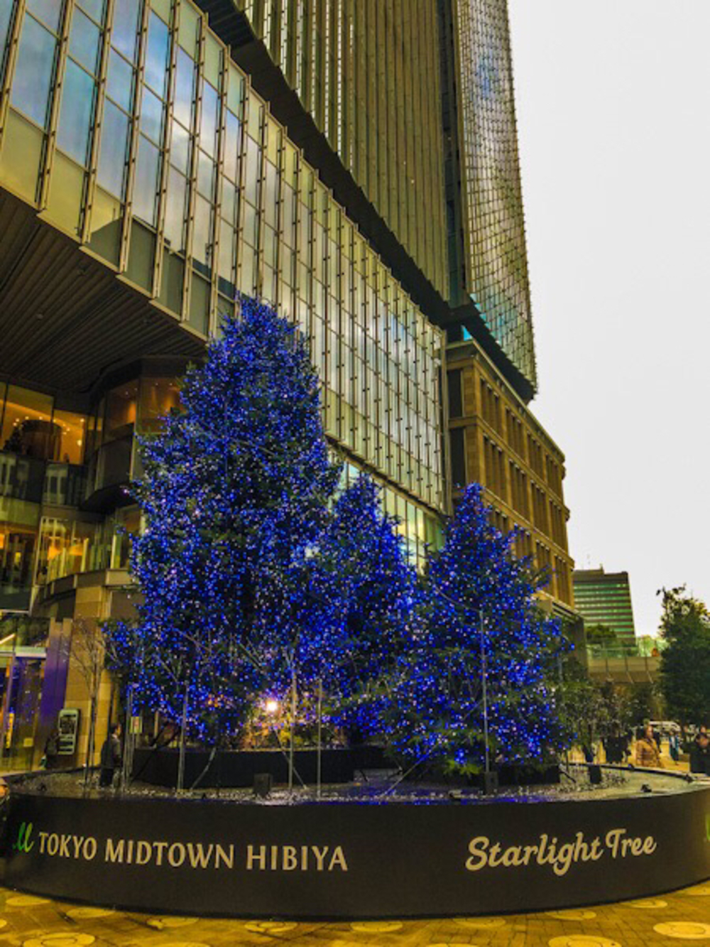 平日昼間の丸の内仲通りの写真12