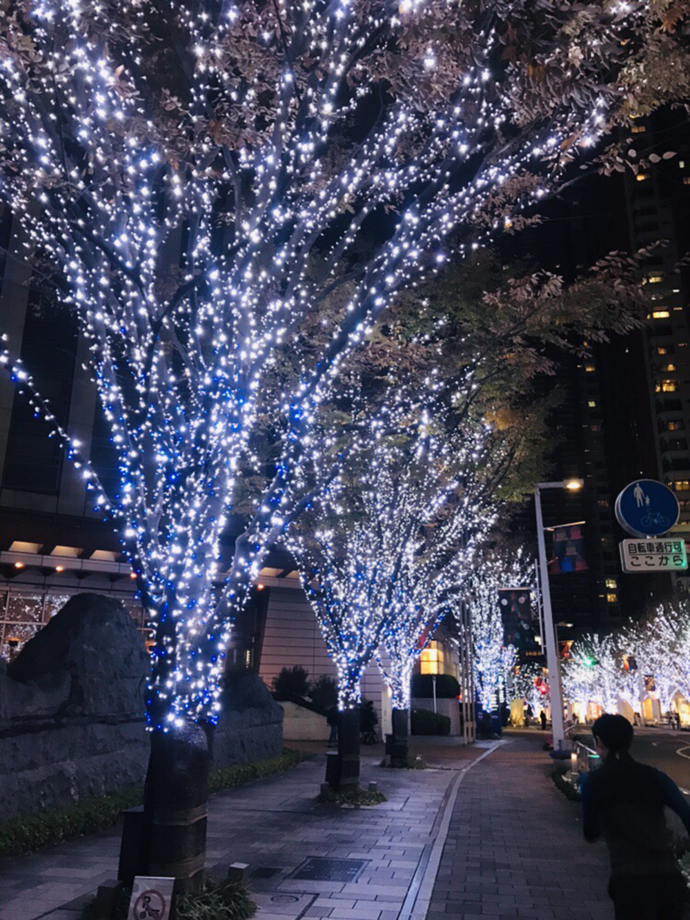 【クリスマスイルミラン】六本木イルミランの写真3