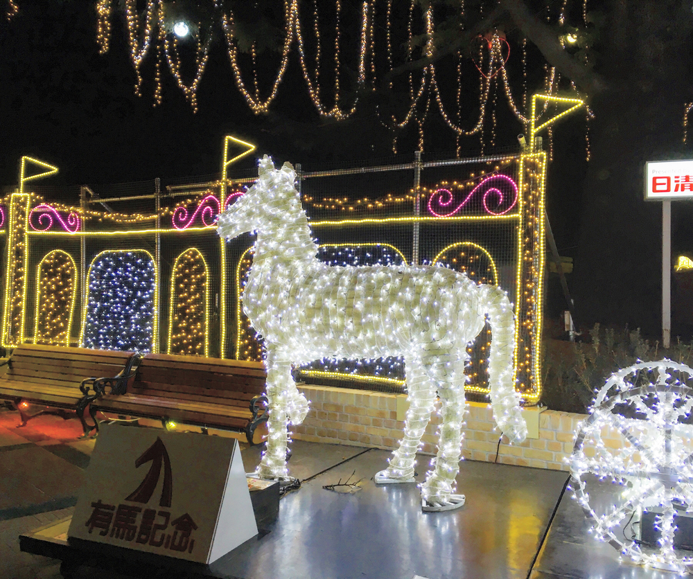 12月週末限定！中山競馬場X'masイルミランの写真3