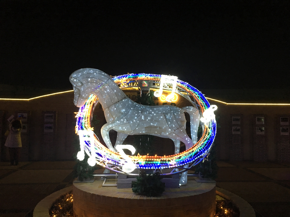 12月週末限定！中山競馬場X'masイルミランの写真4