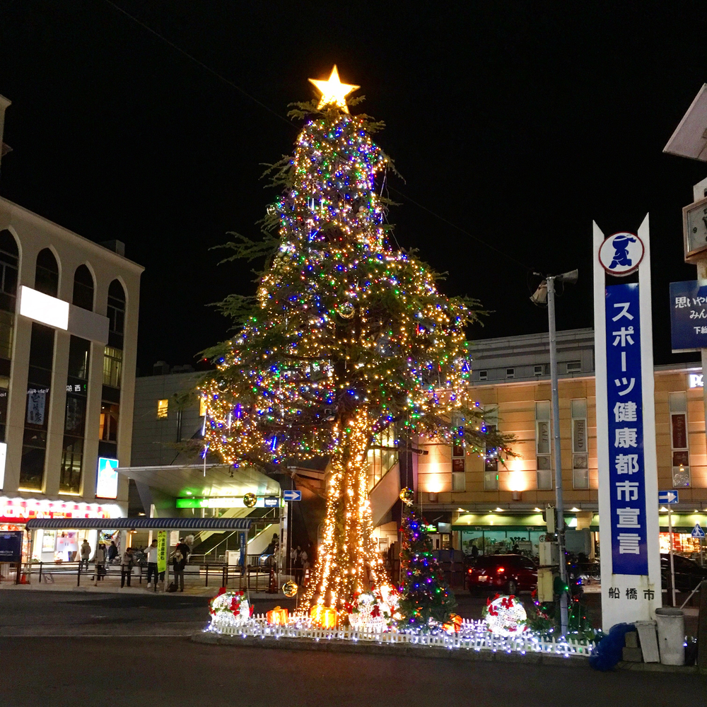 12月週末限定！中山競馬場X'masイルミランの写真6