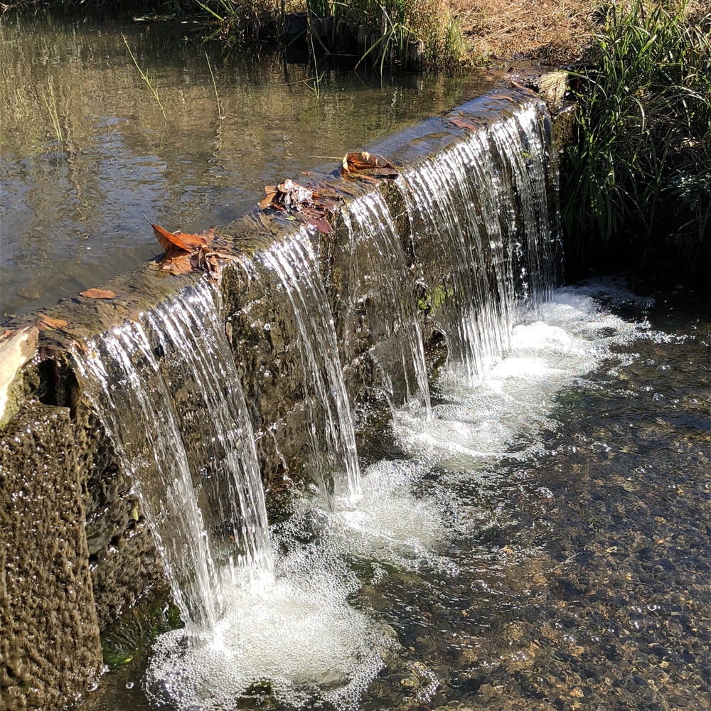自然とたわむれRUNの写真3