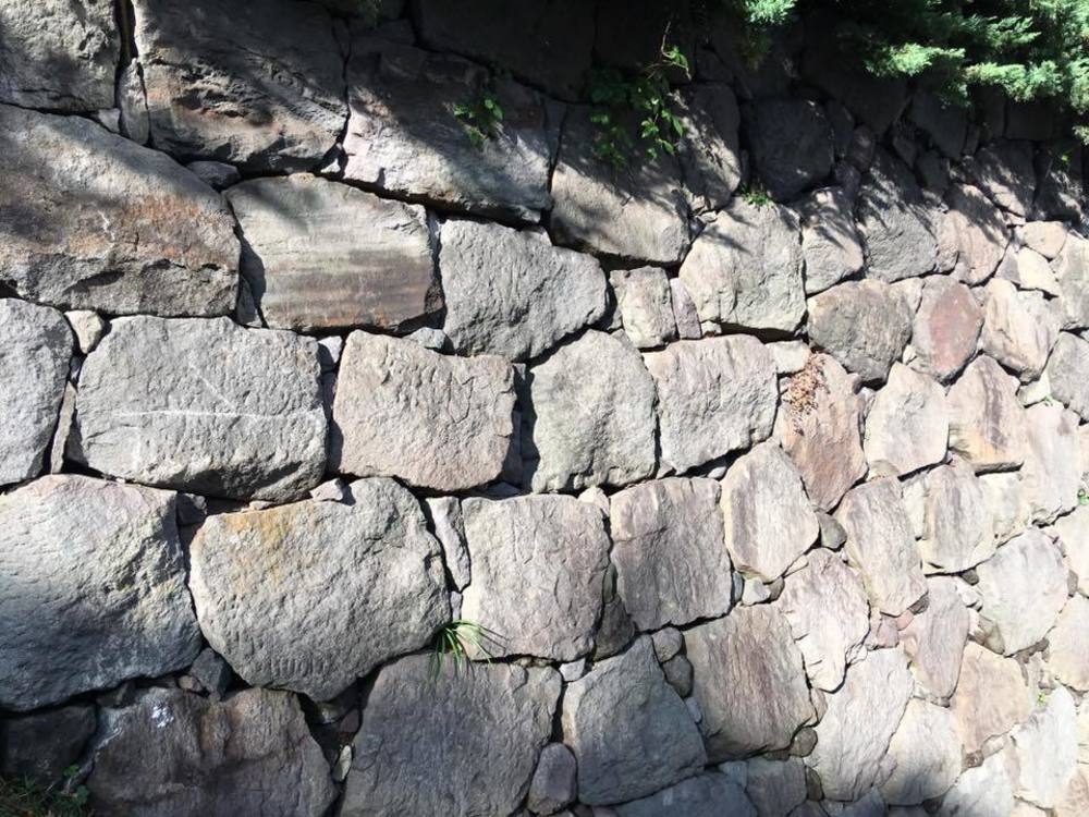 【江戸城 外堀を走る22km】の写真3