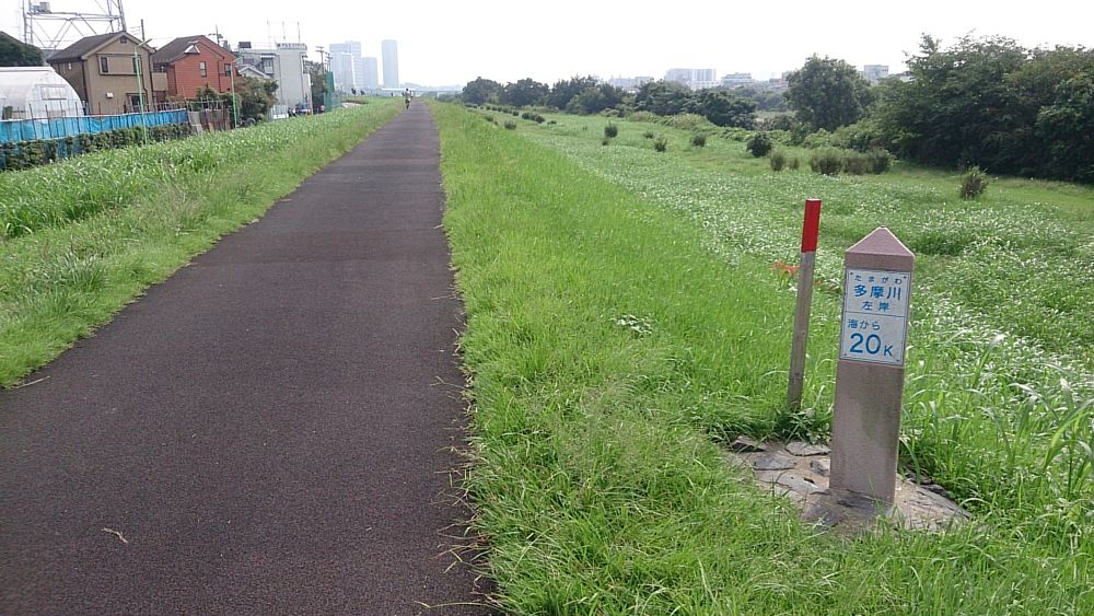 【脚作りに最適】多摩リバー42K（和泉多摩川～大師橋の往復）の写真4