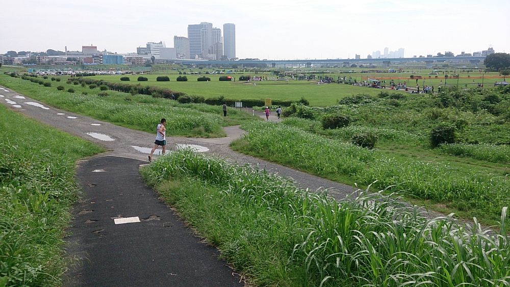 【脚作りに最適】多摩リバー42K（和泉多摩川～大師橋の往復）の写真6