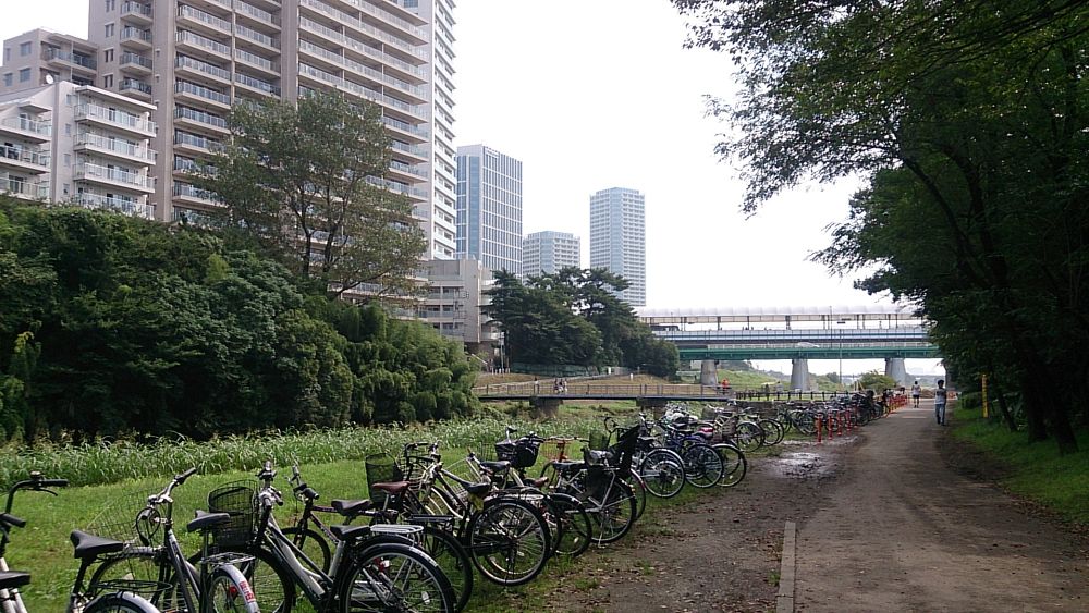 【脚作りに最適】多摩リバー42K（和泉多摩川～大師橋の往復）の写真8
