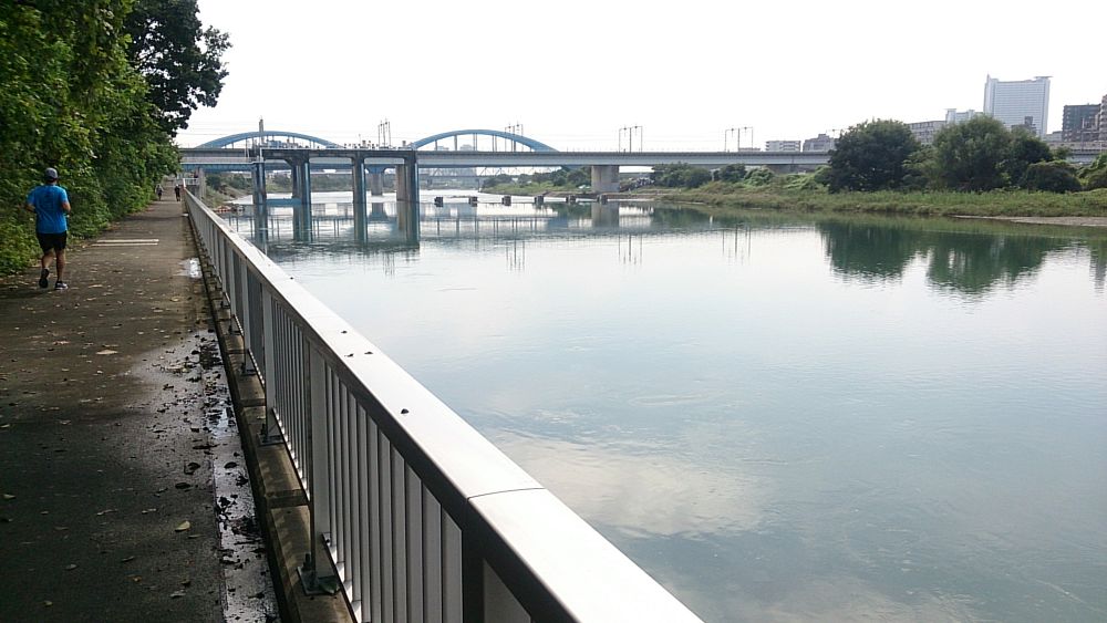 【脚作りに最適】多摩リバー42K（和泉多摩川～大師橋の往復）の写真9