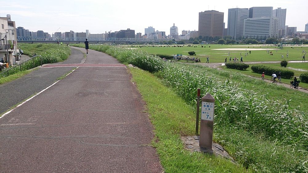 【脚作りに最適】多摩リバー42K（和泉多摩川～大師橋の往復）の写真12