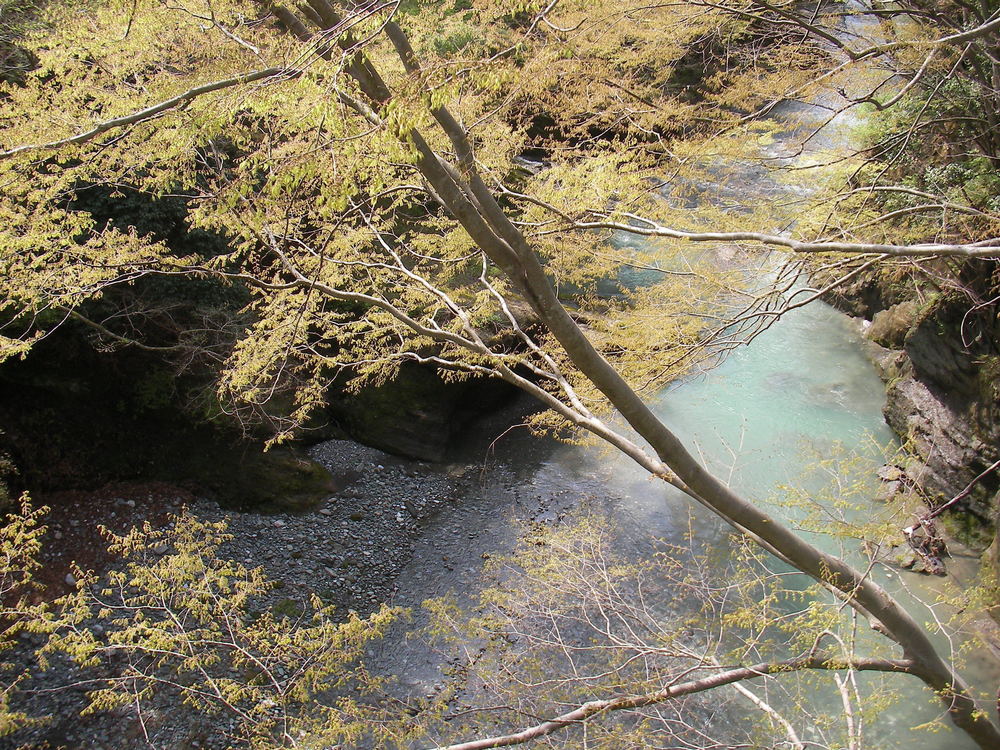 秩父札所マラニック(その1/3)1番～２２番の写真4