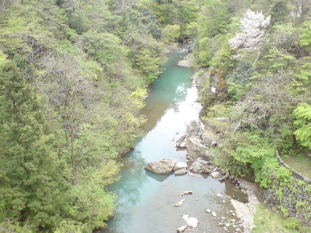 秩父札所マラニック（その2/3）23番～30番の写真3