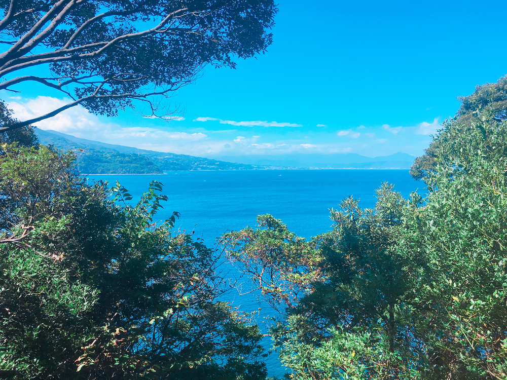 大自然と朝採れ海の幸を満喫！神奈川県真鶴半島10kmラン！の写真5