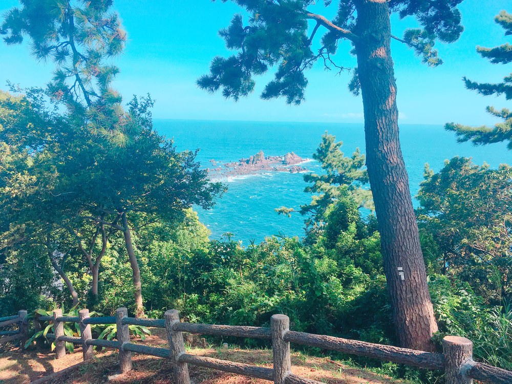 大自然と朝採れ海の幸を満喫！神奈川県真鶴半島10kmラン！の写真7