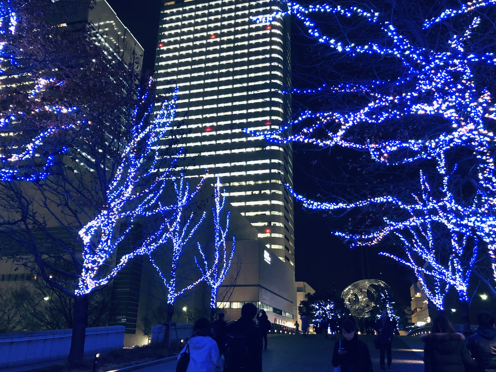 みなとみらいクリスマスイルミランの写真10