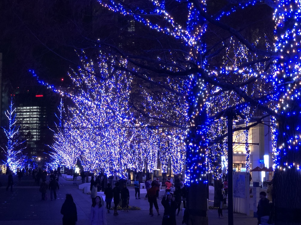 みなとみらいクリスマスイルミランの写真11