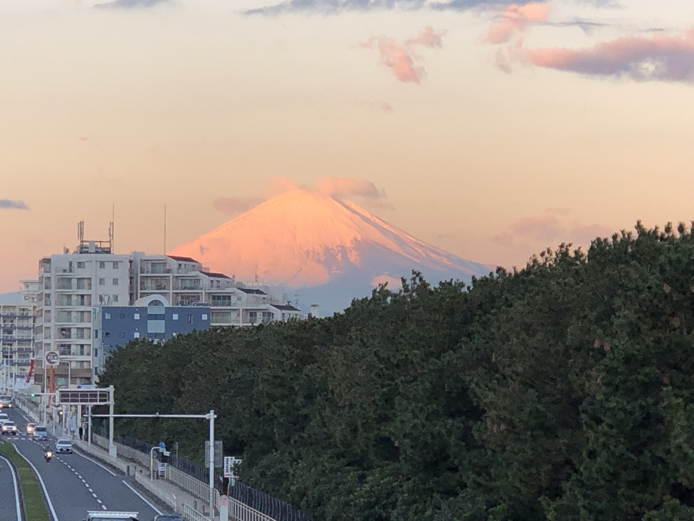 茅ヶ崎サザンC 出張早朝ランニングの写真3
