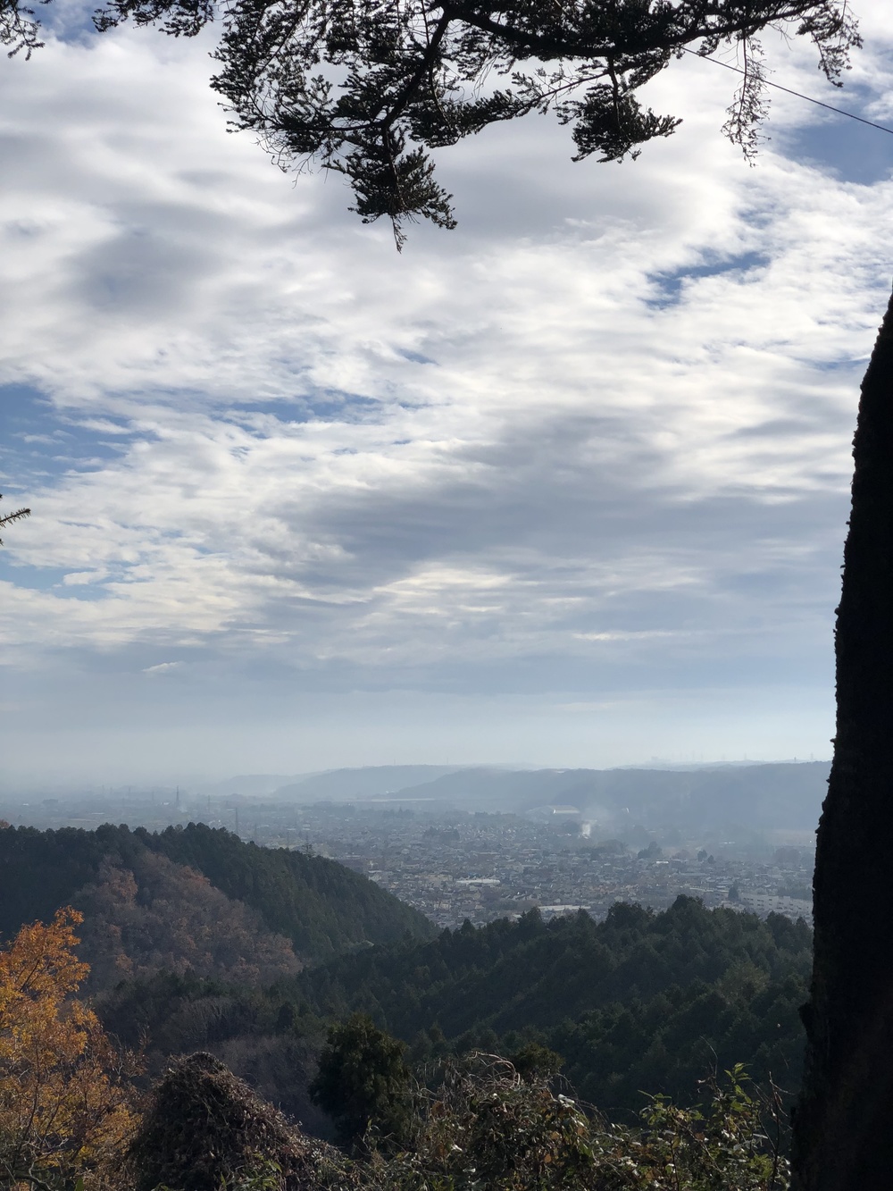 裏山ファイブの写真3