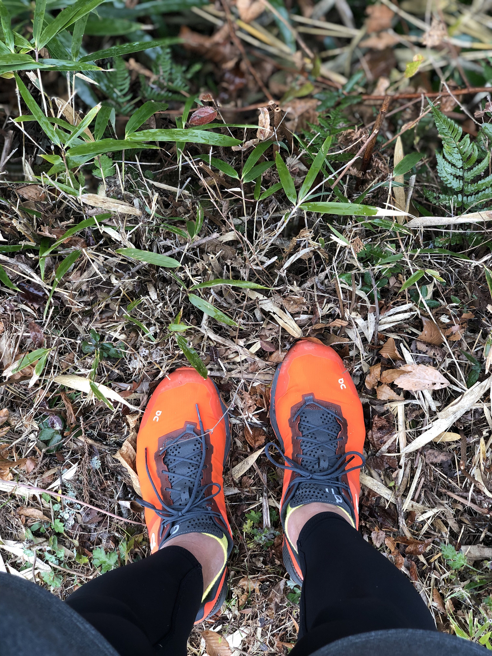 裏山ファイブの写真5