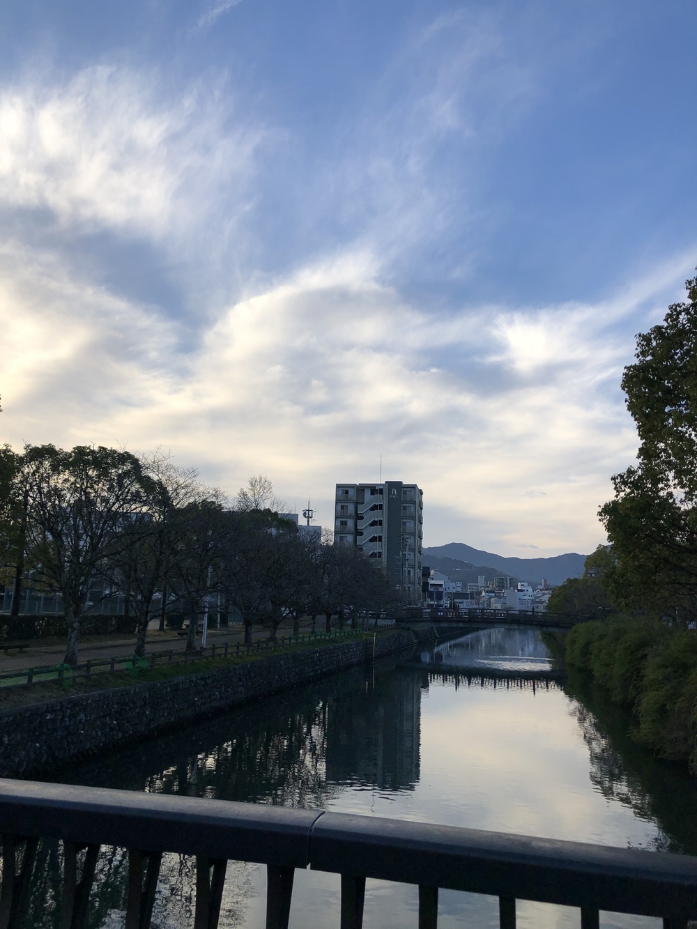 高知城ぐるっと。の写真3