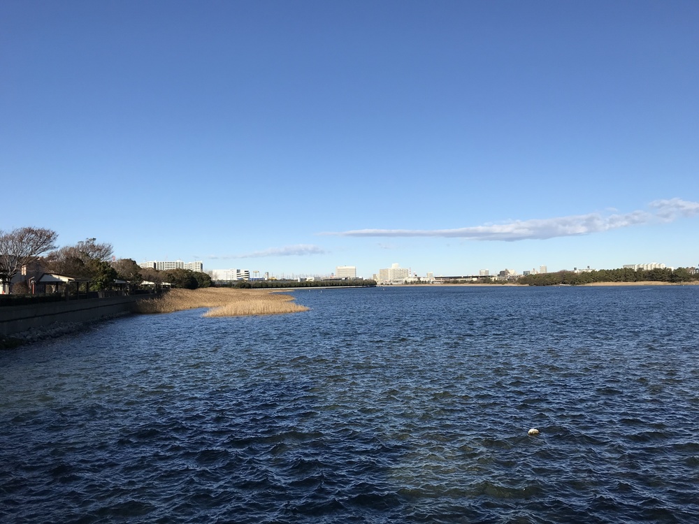 幕張、習志野ランの写真3