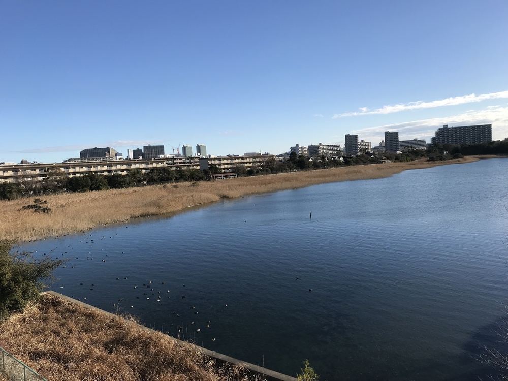 幕張、習志野ランの写真4