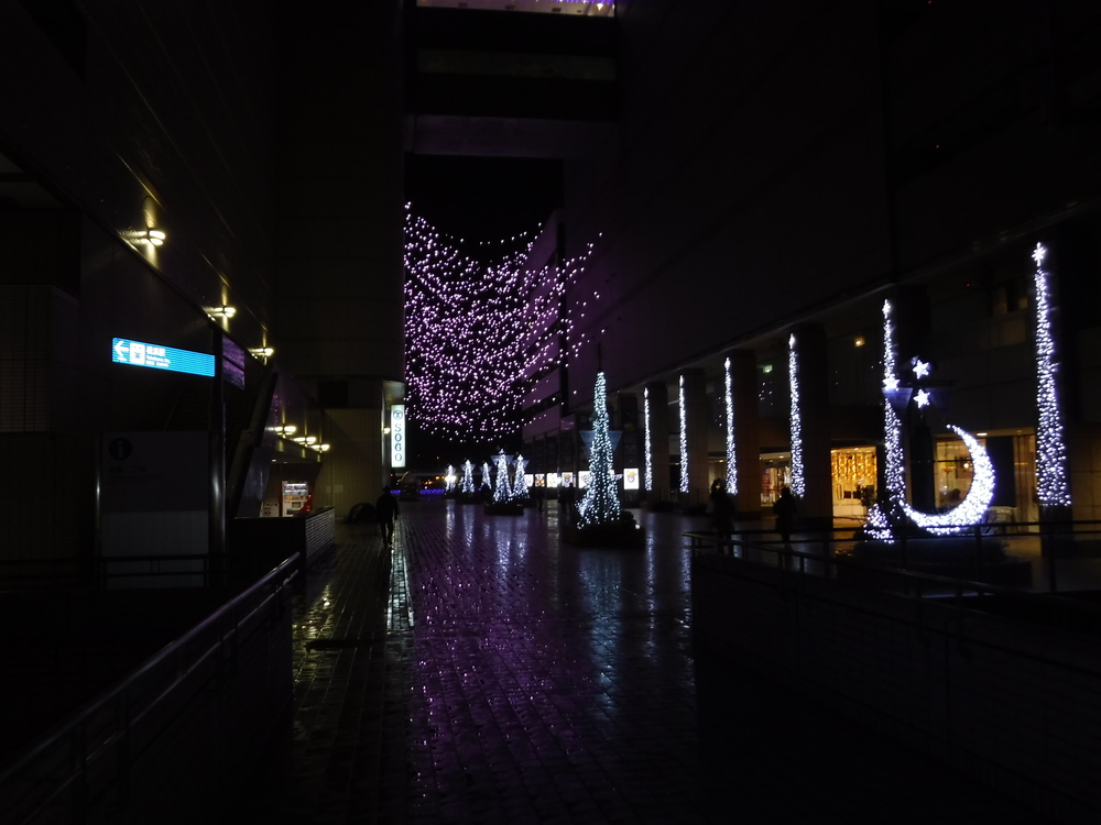 ひとり箱根駅伝往路の写真6