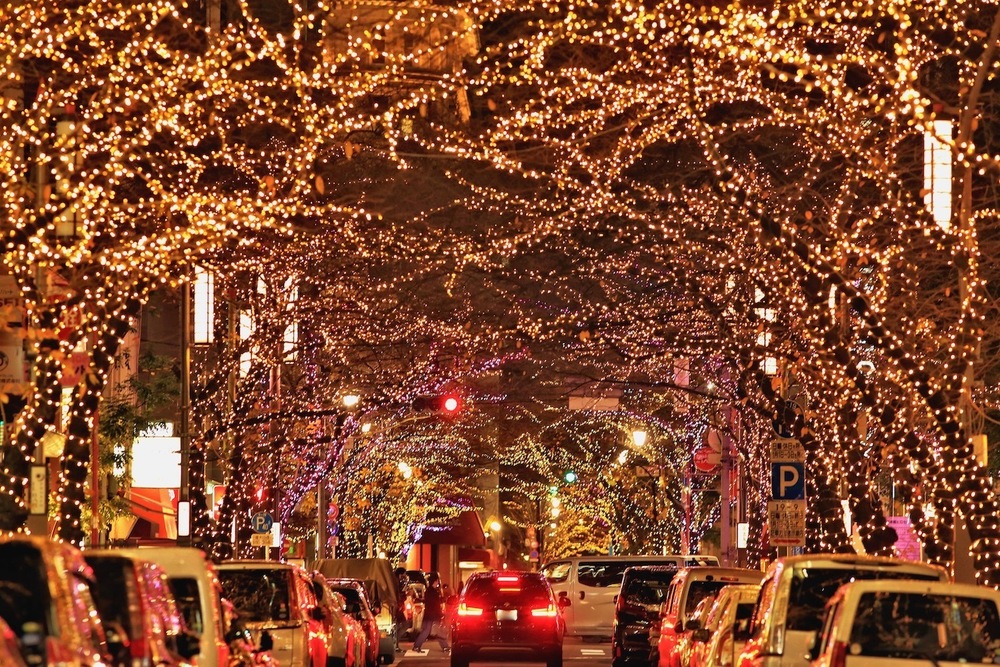 お手軽♪東京イルミラン【6.0km】の写真4