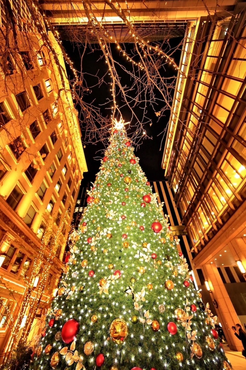 お手軽♪東京イルミラン【6.0km】の写真5