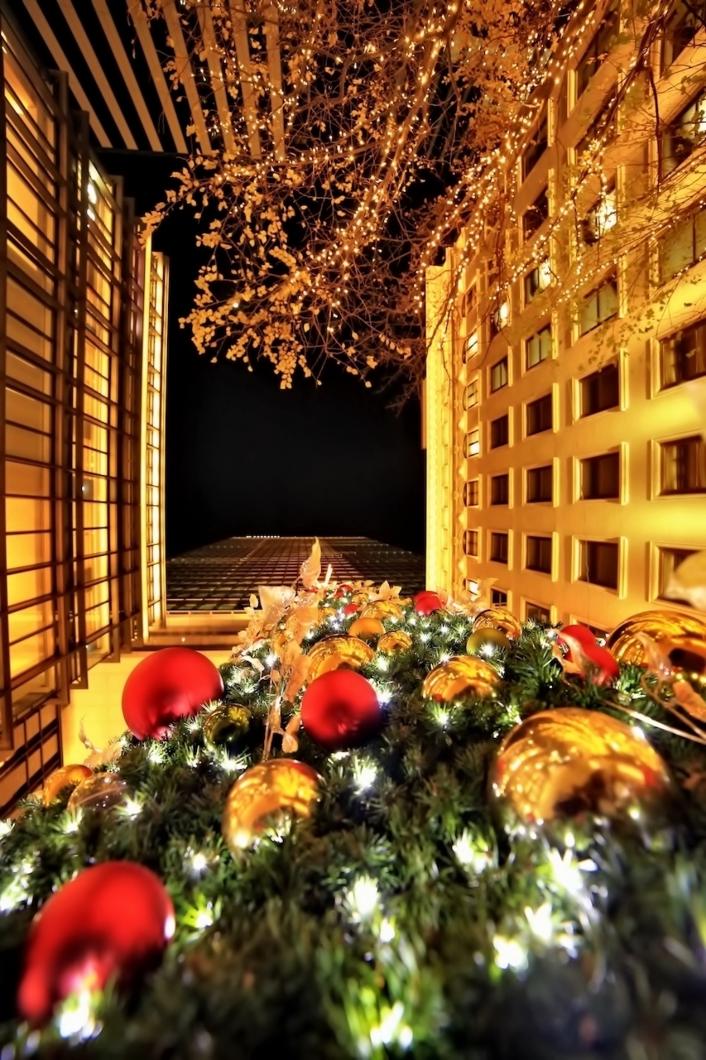 お手軽♪東京イルミラン【6.0km】の写真6