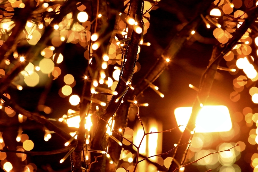 お手軽♪東京イルミラン【6.0km】の写真10
