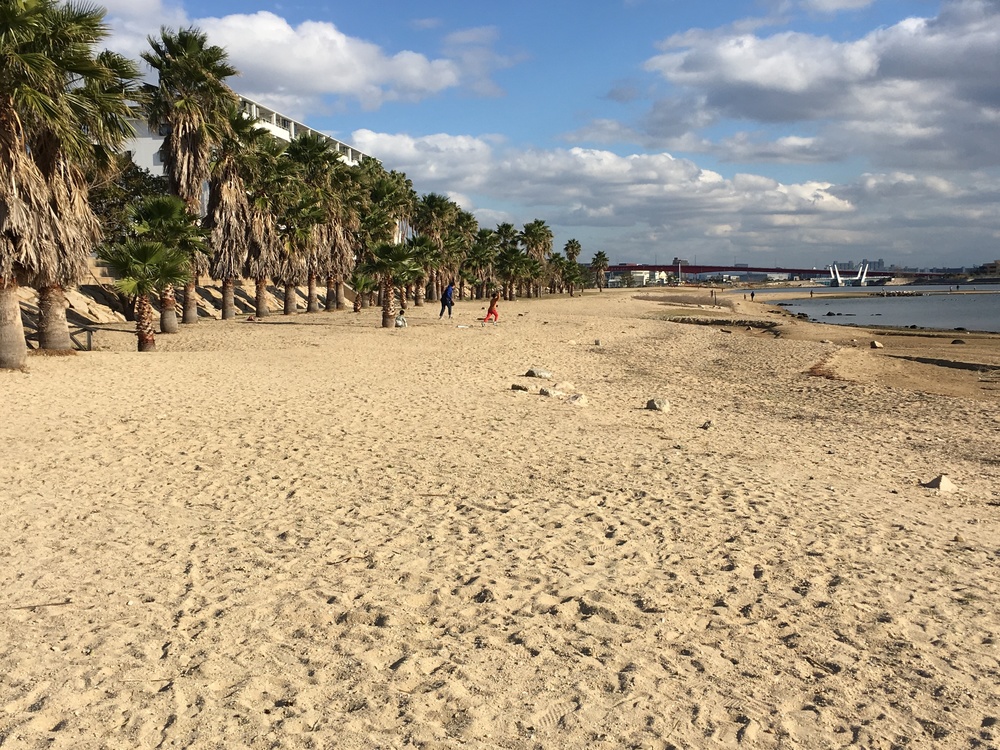 西宮神社 福男ルート、西宮、芦屋ヨットハーバーから芦屋総合公園、潮芦屋ビーチへの写真9