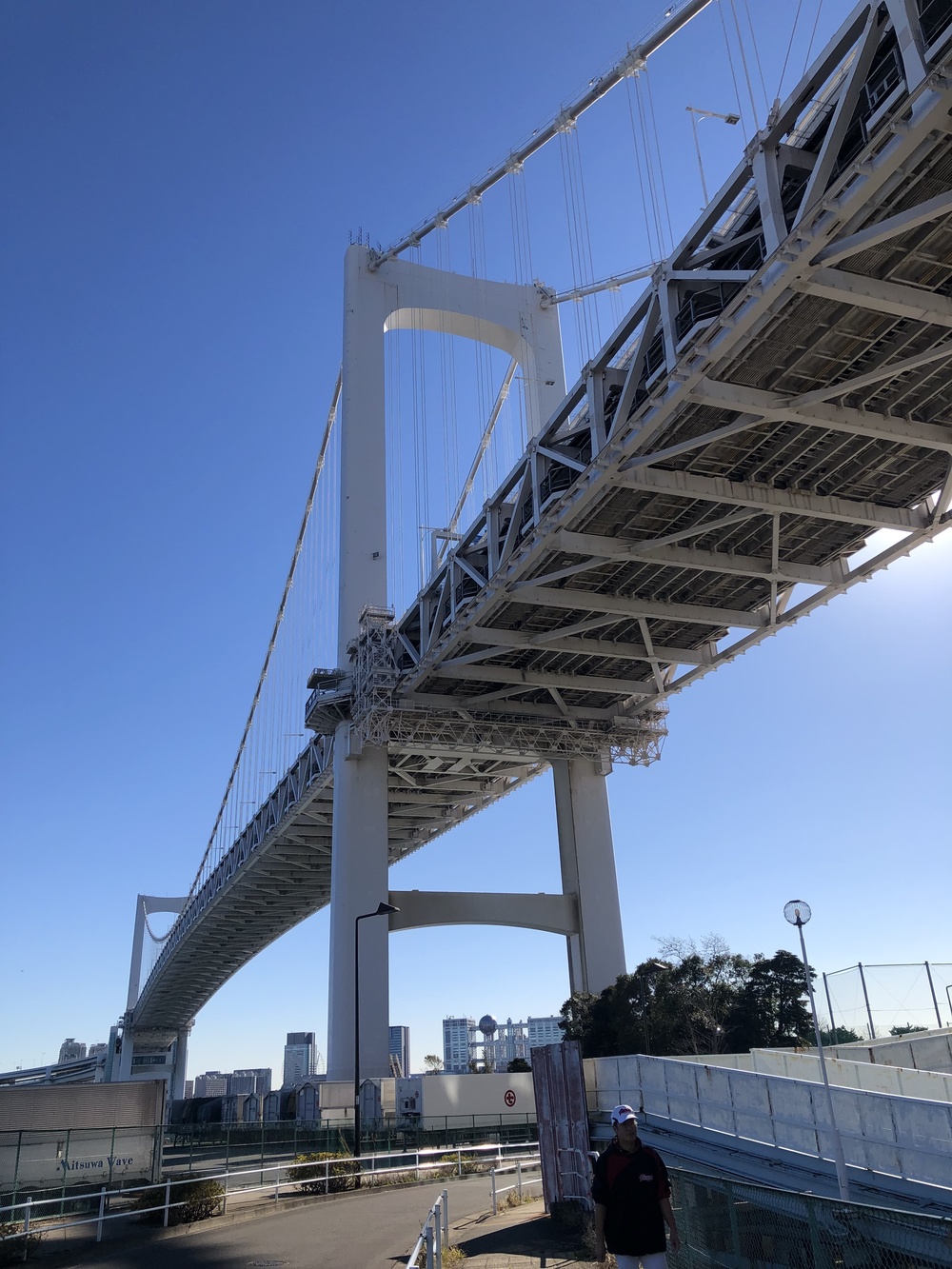 皇居からレインボーブリッジ、豊洲市場を巡る21kmの写真3