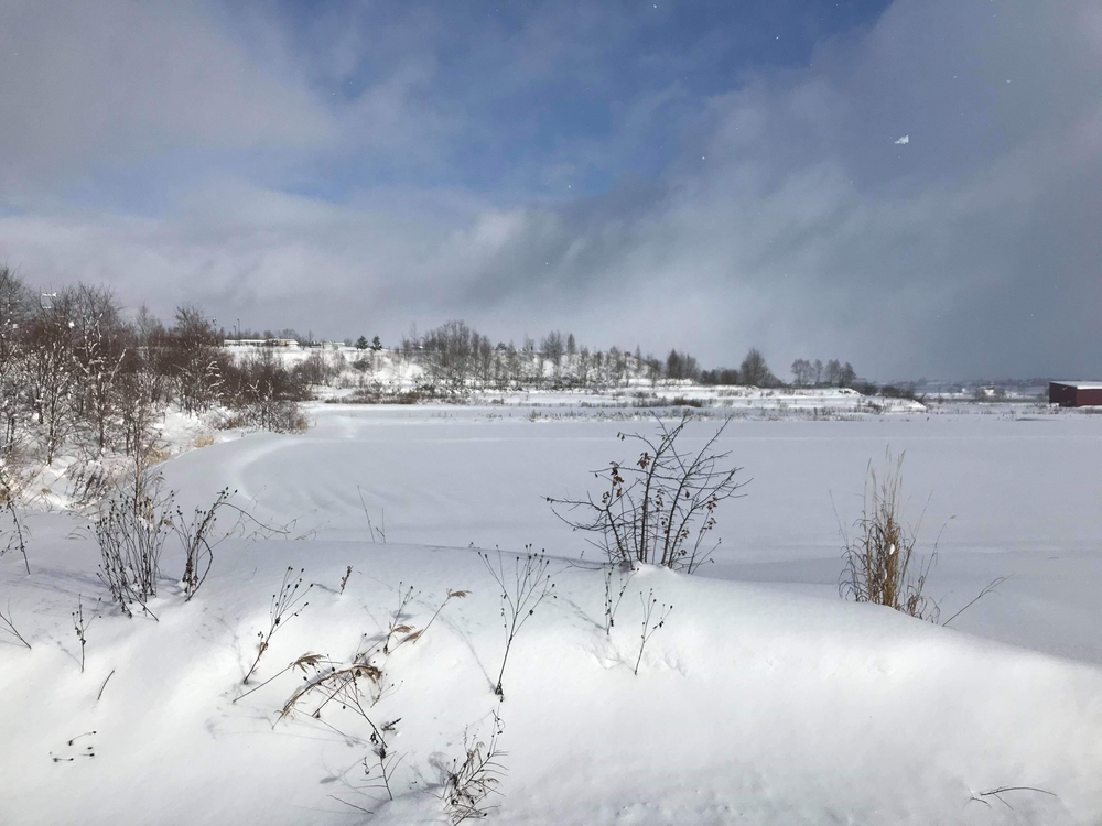 大雪山を見ながらの写真4