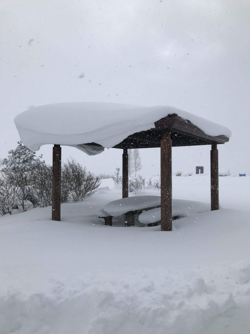 大雪山を見ながらの写真5