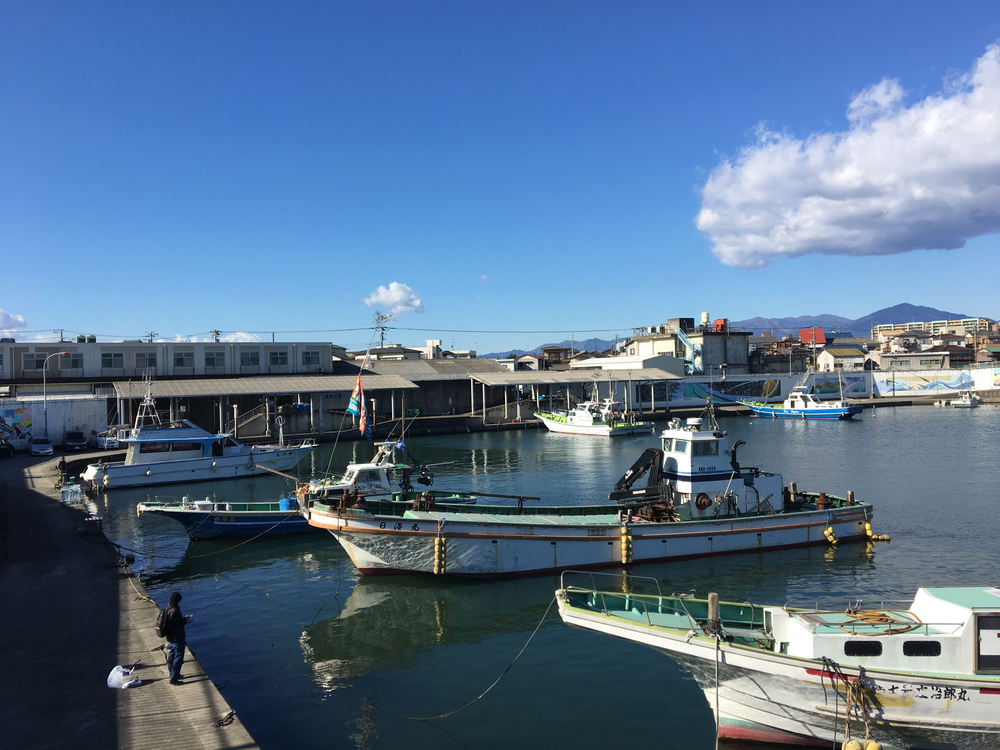 今年の走り納め、相模川銀河橋から河口への写真4