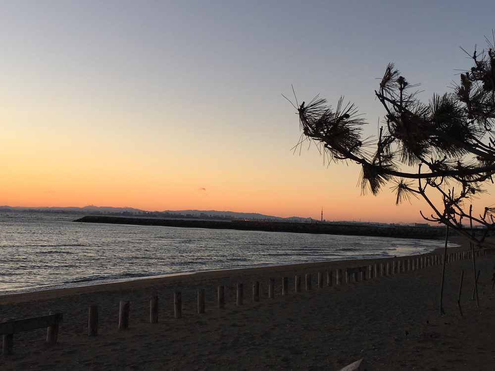 夕焼けを眺めながら。千葉マリンマラソンコースを海沿いにRUNの写真3