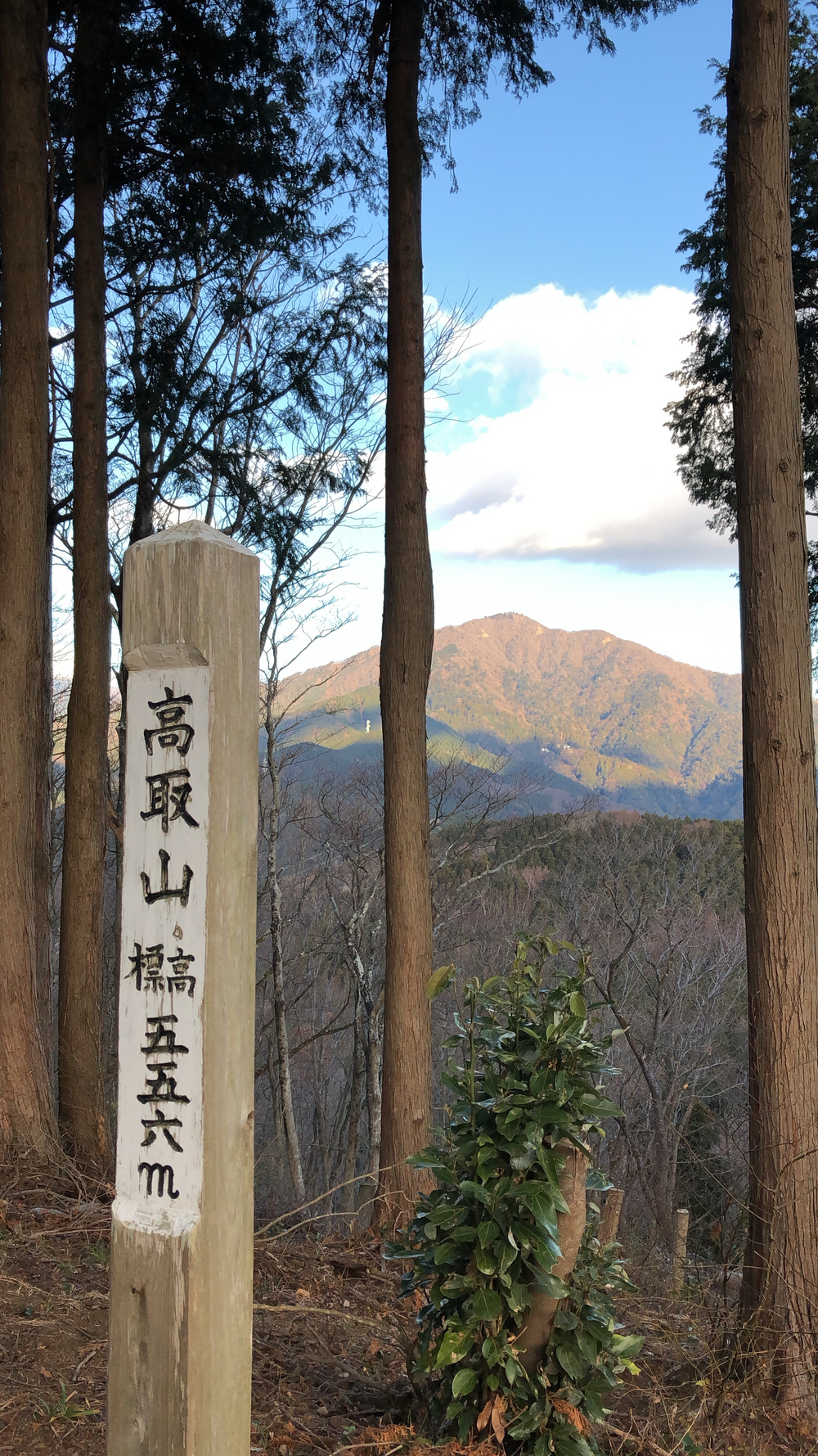 ISEHARA THREE PEAKSの写真5