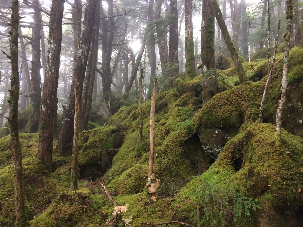 八ヶ岳南麓を目一杯満喫コース。の写真3