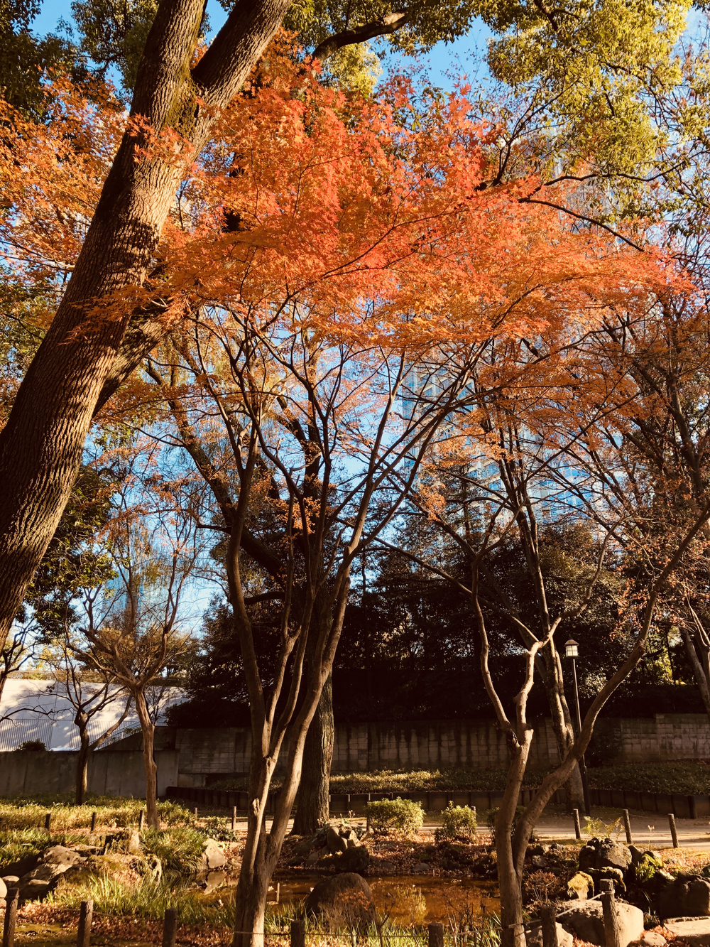港区七福神めぐりの写真9