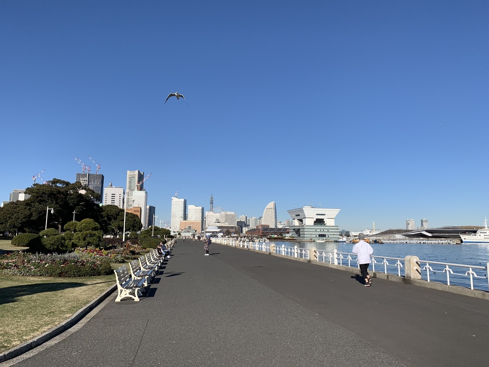 横浜観光ラン（動物園付き！）の写真3