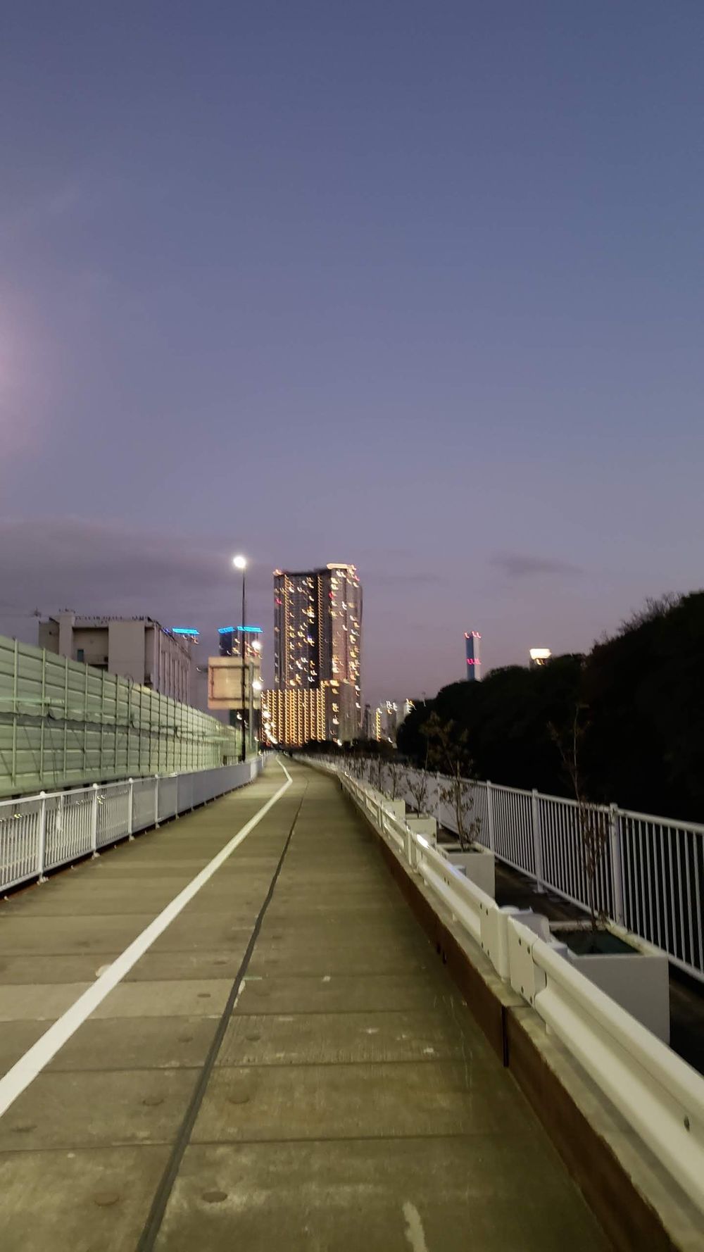 日比谷～豊洲周遊コースの写真4