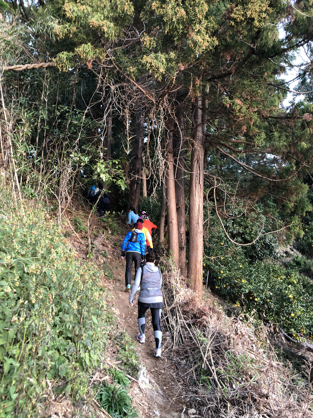 海岸もトレイルも楽しめる万葉ロマンコースです。の写真4