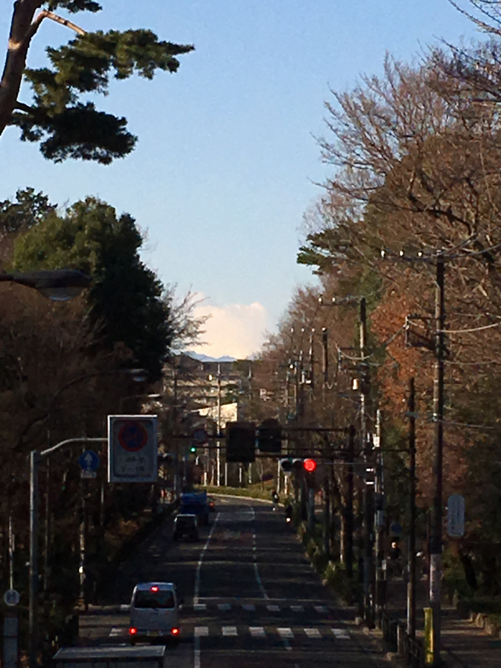 新春武蔵野七福神巡りラン 10kmの写真8