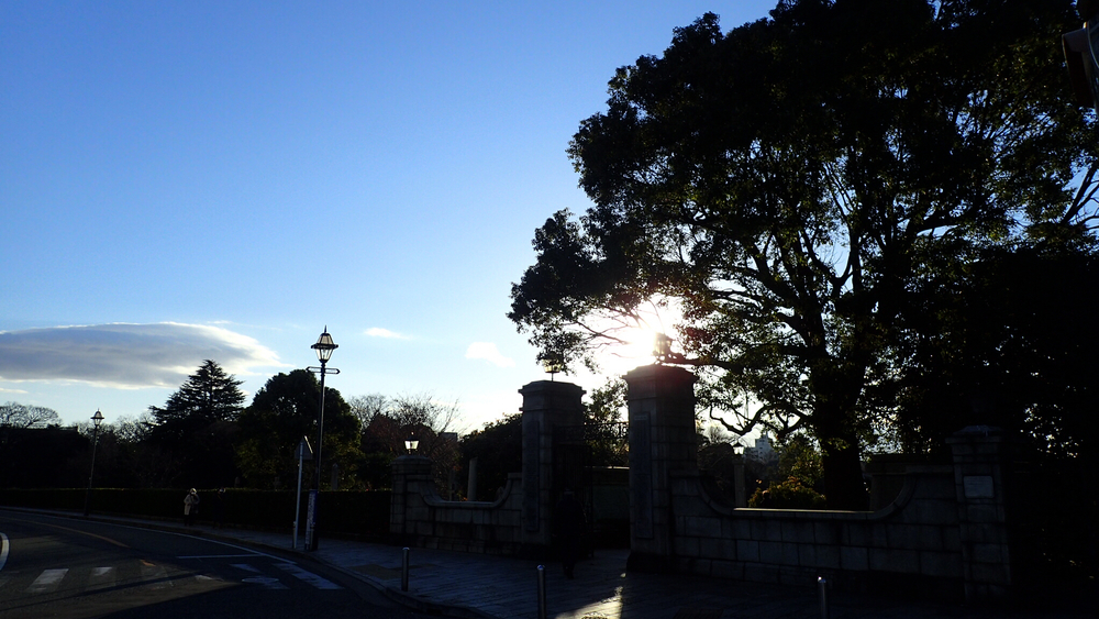 初めてのウルトラマラソン練習にオススメの江ノ島、鎌倉、横浜を巡る40kmの写真6