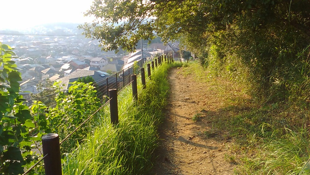 川崎北部トレイル＆温泉ラン！の写真3