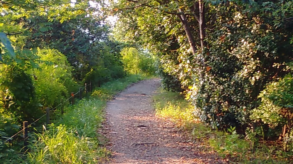 川崎北部トレイル＆温泉ラン！の写真4