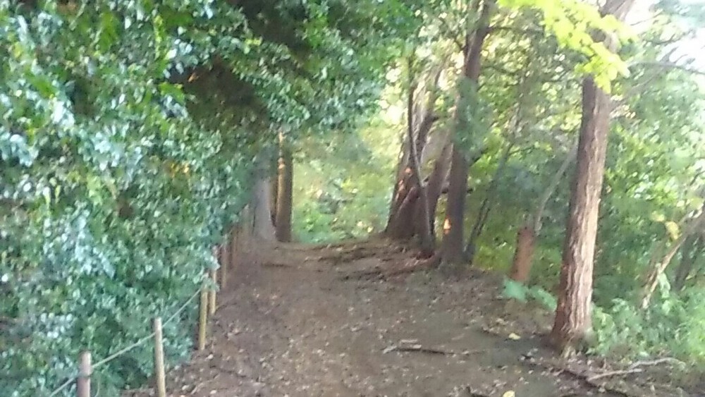 川崎北部トレイル＆温泉ラン！の写真5